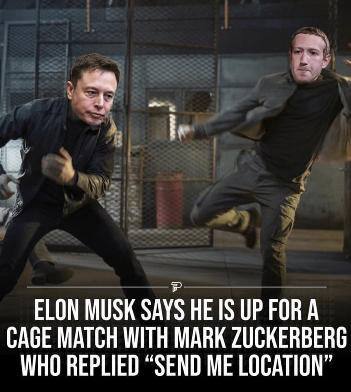 MTV Celeb Match Is Back 9GAG