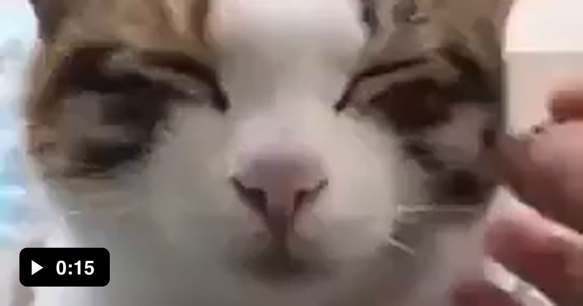 Oh no, she accidentally hit the off button - 9GAG