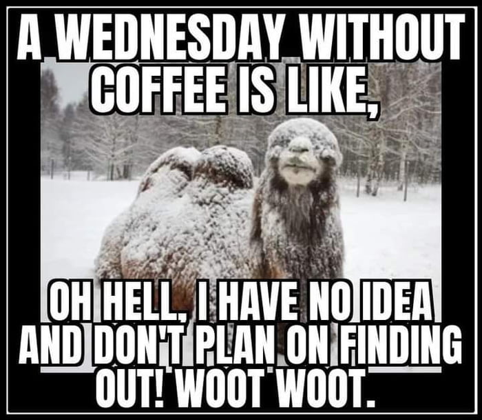 Wednesday Humor Cold Wednesday humor - 9GAG