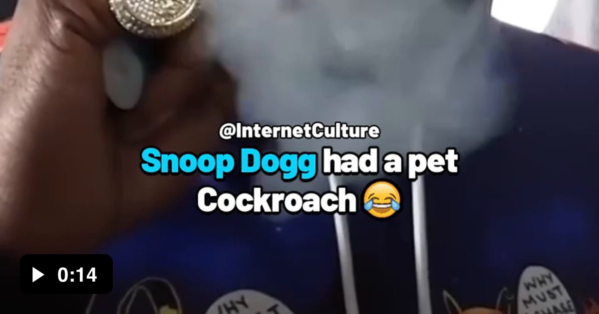 Roach was blunt with a bud. 9GAG