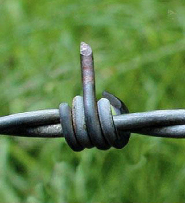 This Barbed Wire Has Something To Tell You 9GAG   AVbj01y 700b 