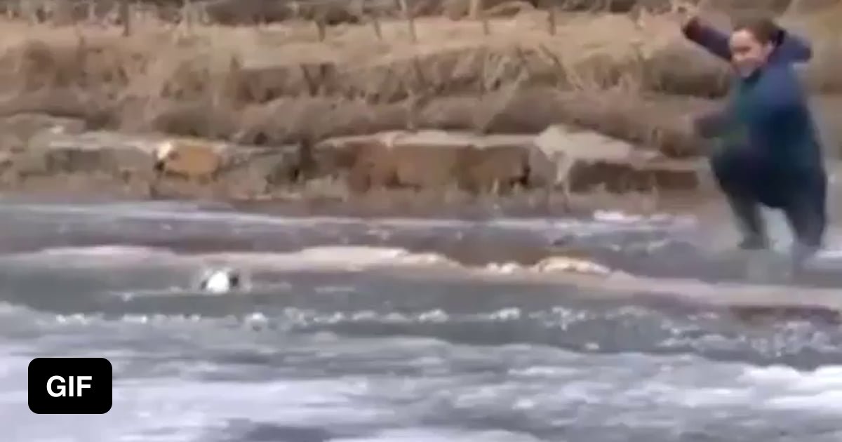 Man jumps into frozen pond to save his dog - 9GAG