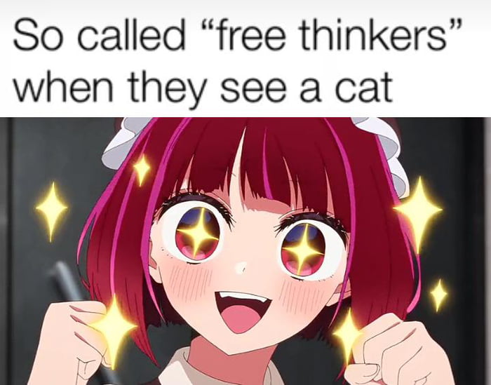Cats make everything better - 9GAG
