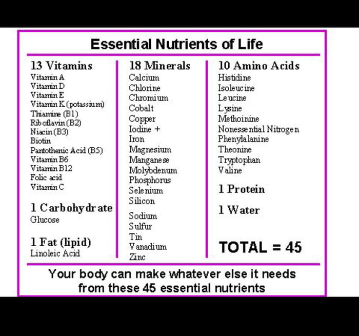 A cool guide to essential nutrients for life 9gag