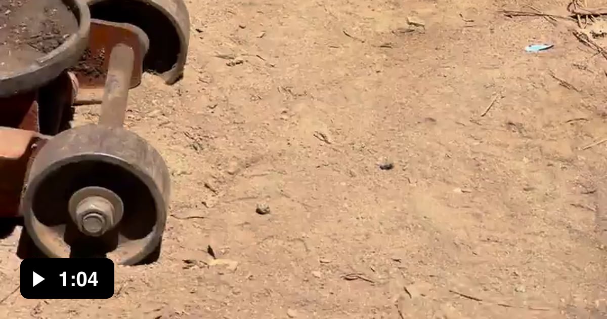 This curious visitor came right up to say hello - 9GAG