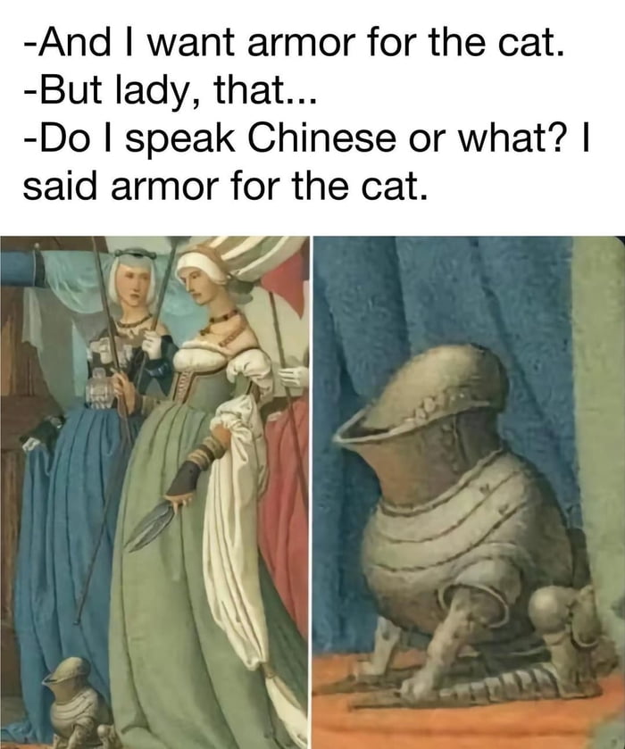 Armored Cat - 9GAG