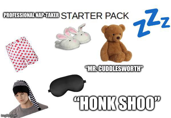 Professional Napper Starter Pack Gag