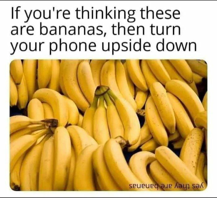 Bananas Without B Is Pineapple - 9GAG