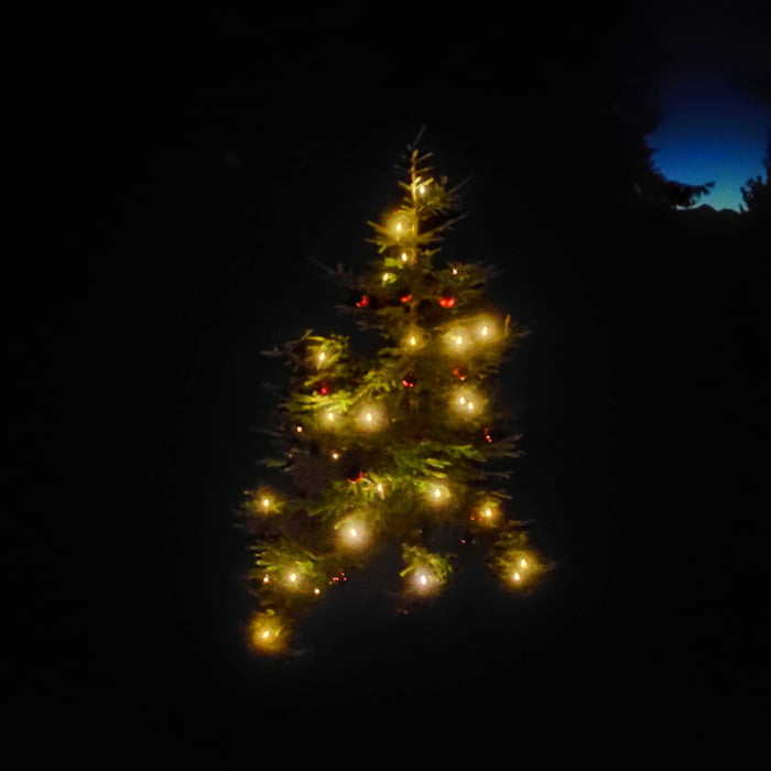 We decorated a random tree in the Bavarian Alps to make hikers smile in ...