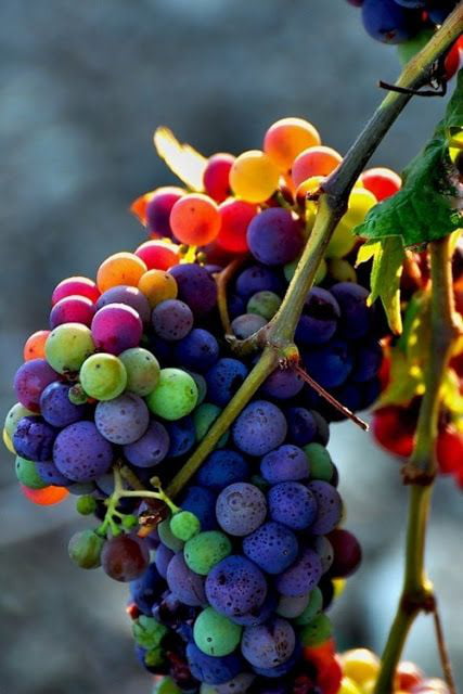 What Color Grapes Are Sweet