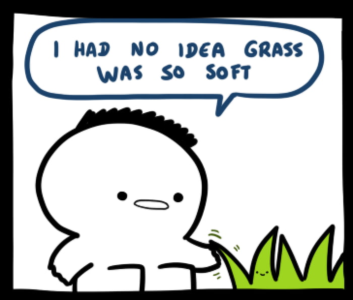 Touch Grass 9gag