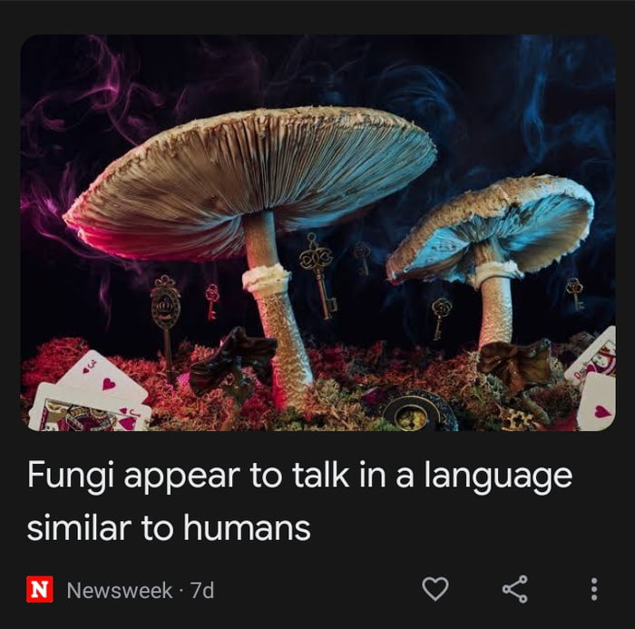 What's this?! So mushrooms can communicate like us? 9GAG