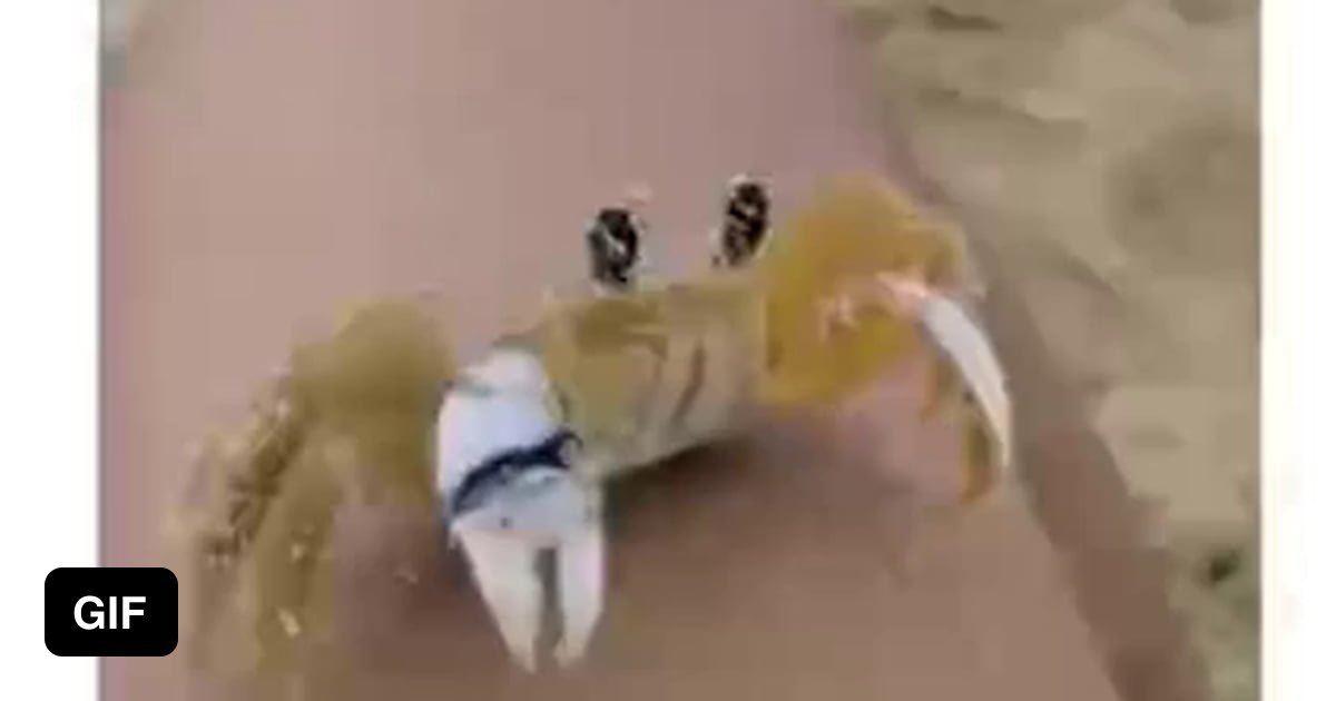 Little crab cleaning it's eyes 9GAG