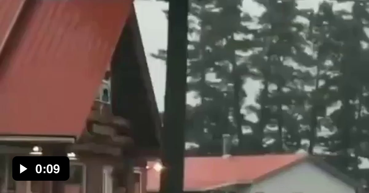 A tree struck by lightning 9GAG