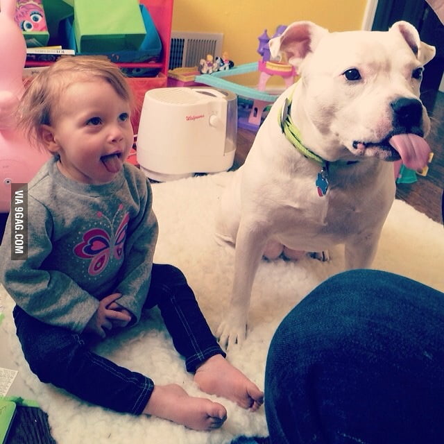 Little girl and dog are both begging for food...tongues out. - 9GAG