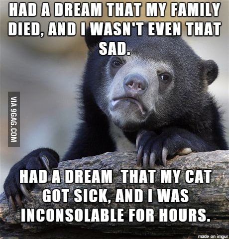 I don't even feel bad about it - 9GAG
