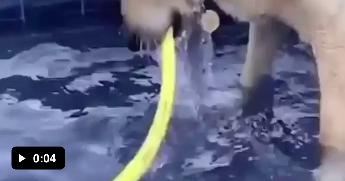 When you take your first hooka hit & aren't ready for how strong it is ...