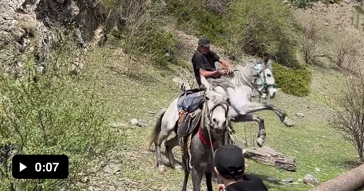 The horse was right! You should let go of the reins when you fall. - 9GAG