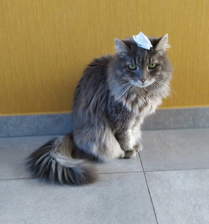 You Are Deeply Missed Meaning In Tamil You Are Deeply Missed Meaning In Tamil