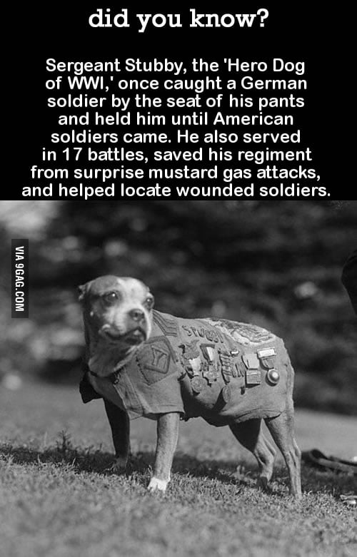 You Learn Something New Every Day 9GAG
