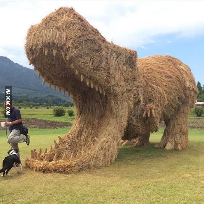 Amazing Straw Art 9GAG