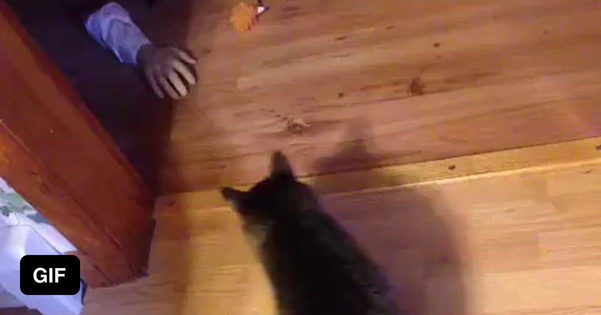 Idle hand vs kitty. 9GAG