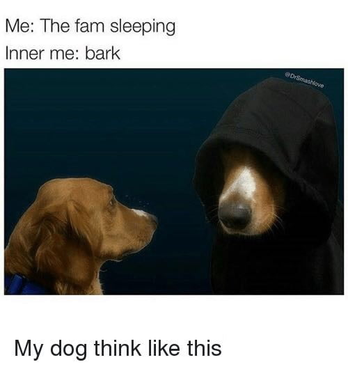 My dog thinks like this - 9GAG