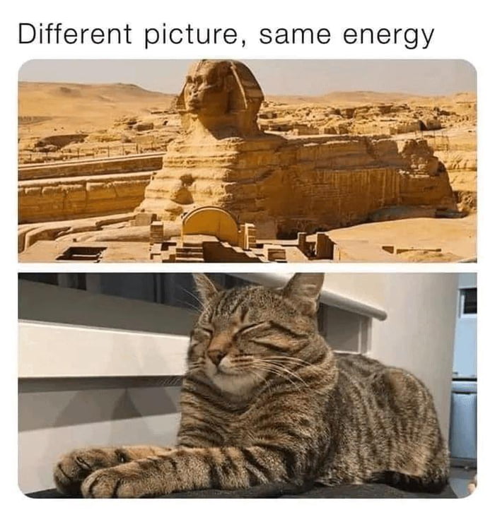 Legendary Cat - 9GAG