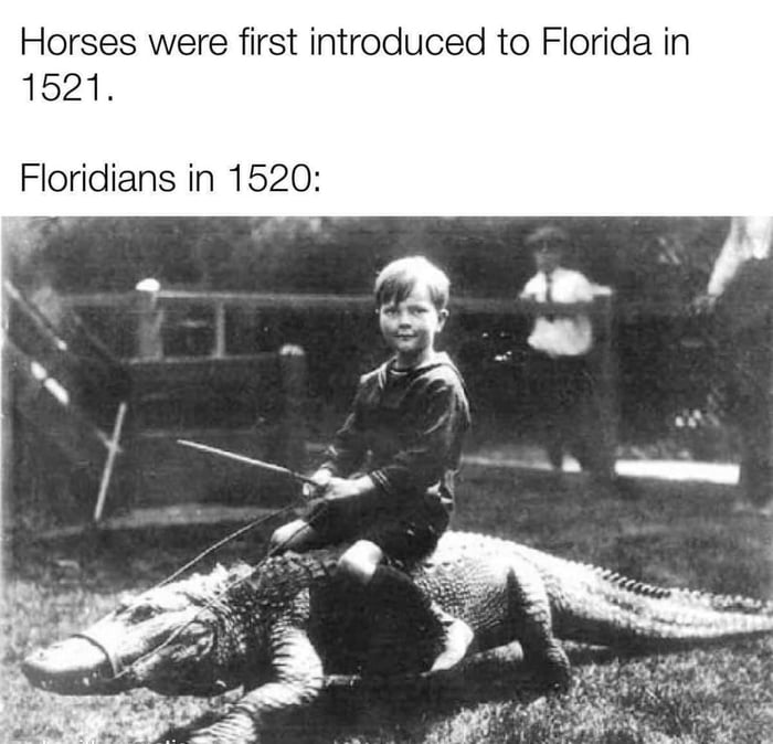 Florida man origin story - 9GAG