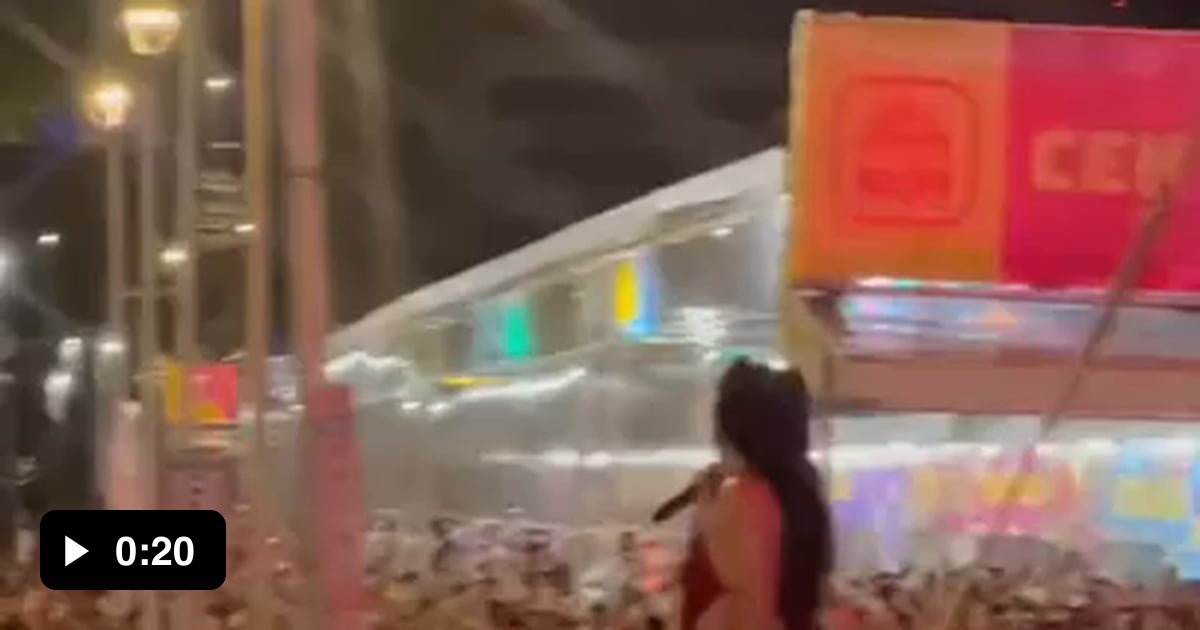 Stray Caramel dog falls asleep on stage during Carnaval show on Recife