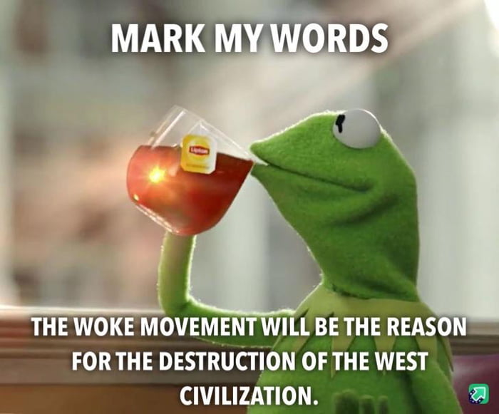 Definition Of The Woke Movement