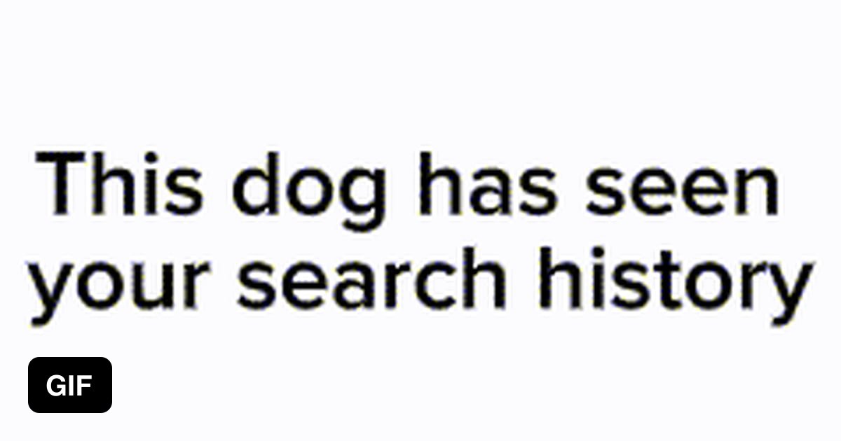 This doggo has seen your search history 9GAG