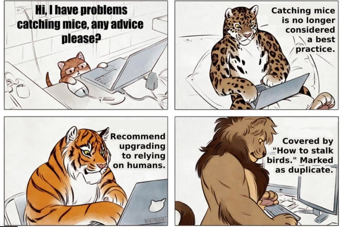 Stackoverflow in a nutshell - 9GAG