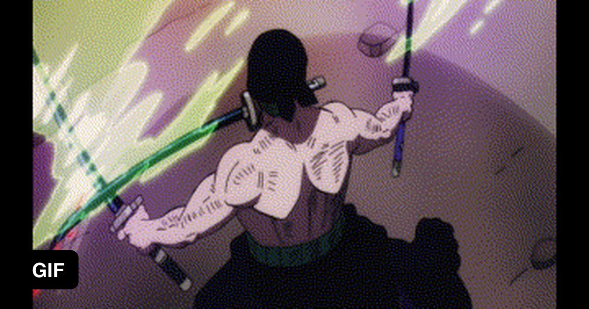 Zoro vs King, full epic battle, Zoro Knockout King and cut one of the wing  on Make a GIF