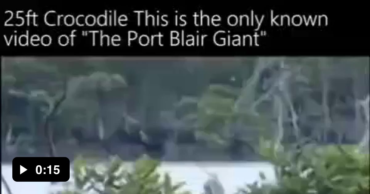 Croczilla, The Port Blair Giant Guardian. 9GAG