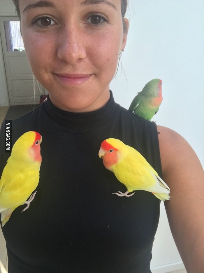 Crazy bird lady! 9GAG