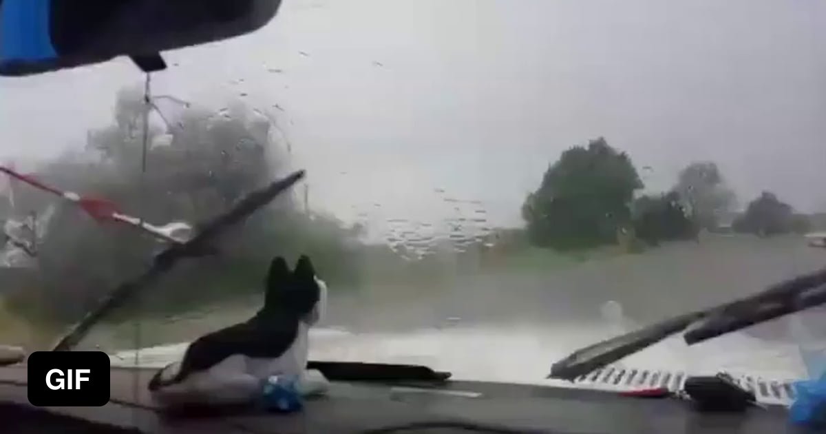 When your windshield wipers don't work... 9GAG