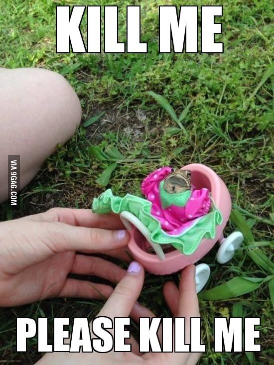 My first thought when I saw this picture - 9GAG