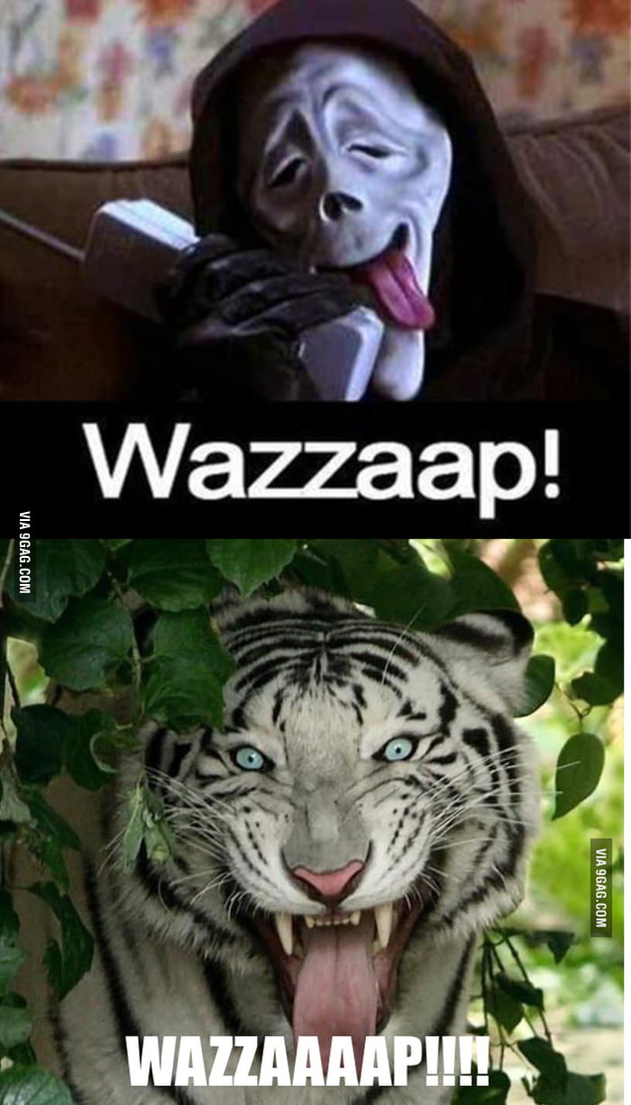 Wazzaaap 9gag Wazzaaap 9gag