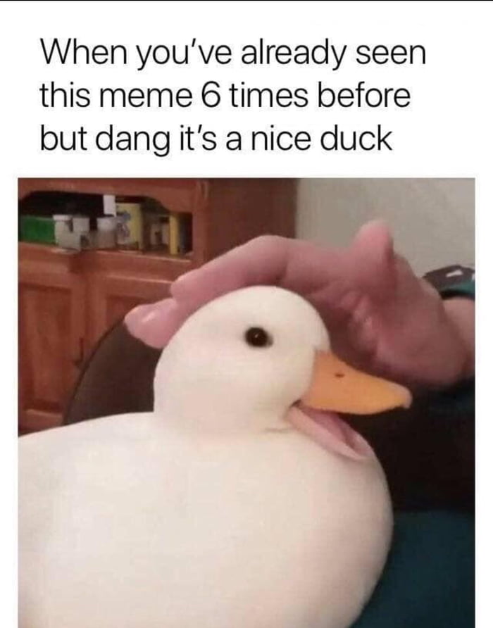 What’s up Duck? 