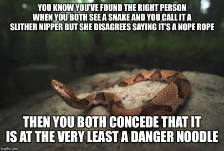 Nope Rope Danger Noodle Meme