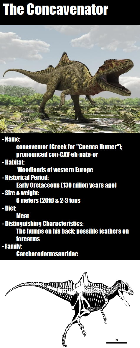 Concavenator Corcovatus 9GAG