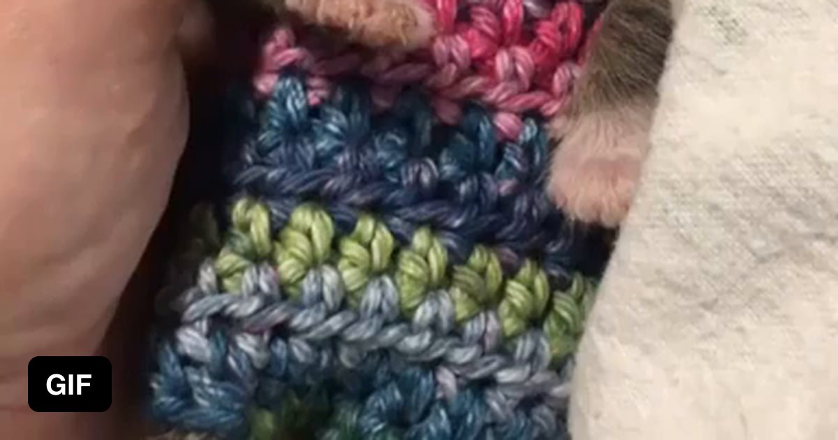 💔 She was very cold and hungry but seems to be doing better now. We are