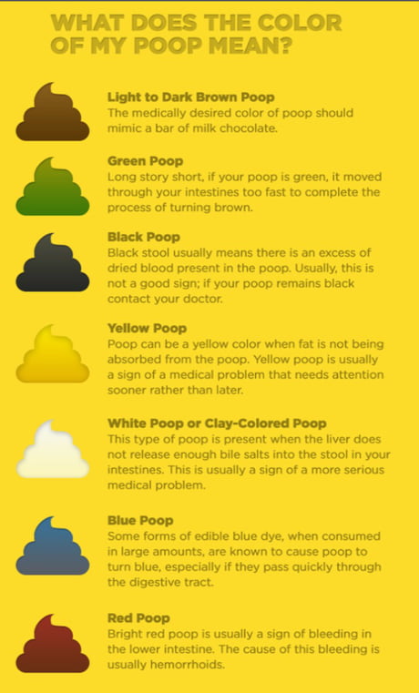 why is my poop green stool colors explained - whats your poop telling ...