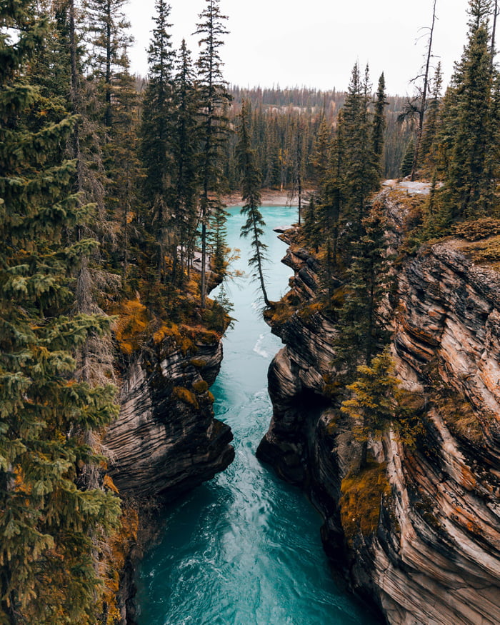 A ridge near Athabasca Falls in Jasper National Park. Yes, the water ...