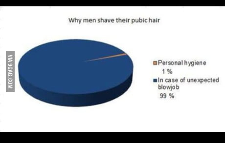 Why Men Shave Their Pubic Hair 9gag