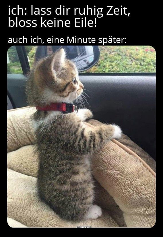 Ich bin doch so ungeduldig! - 9GAG