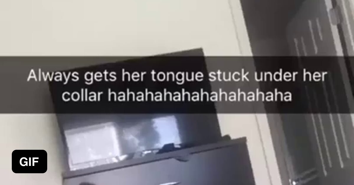 This cat got his tongue stuck in his collar.... 9GAG