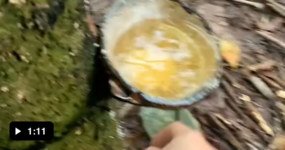 Oddly satisfying - 9GAG