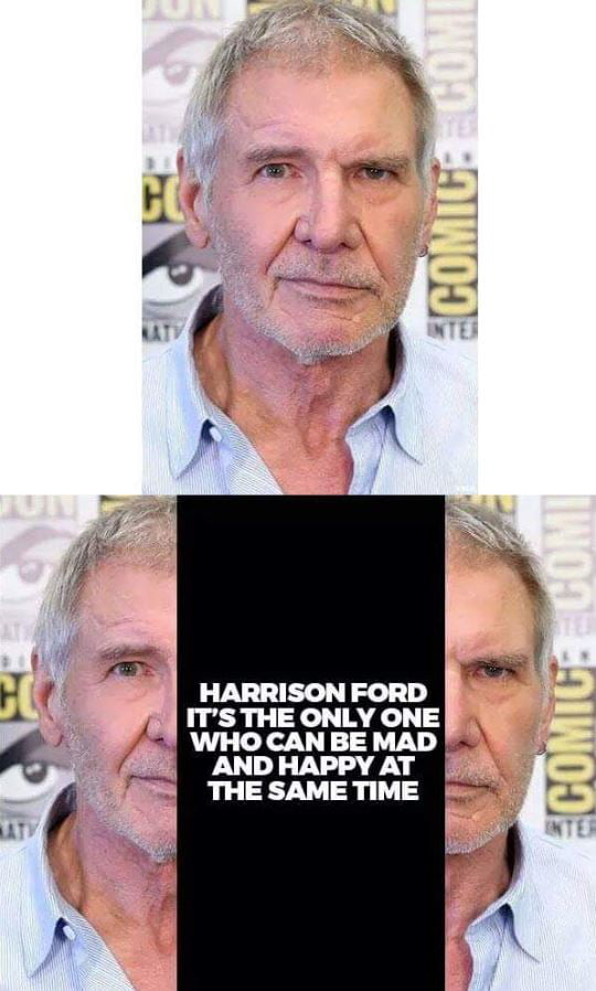 Harrison Ford Could Make A New Saga All By Himself Gag
